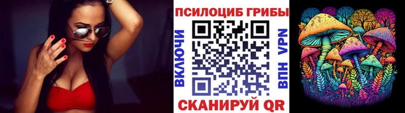 Галлюциногенные грибы Psilocybine cubensis  Городище 